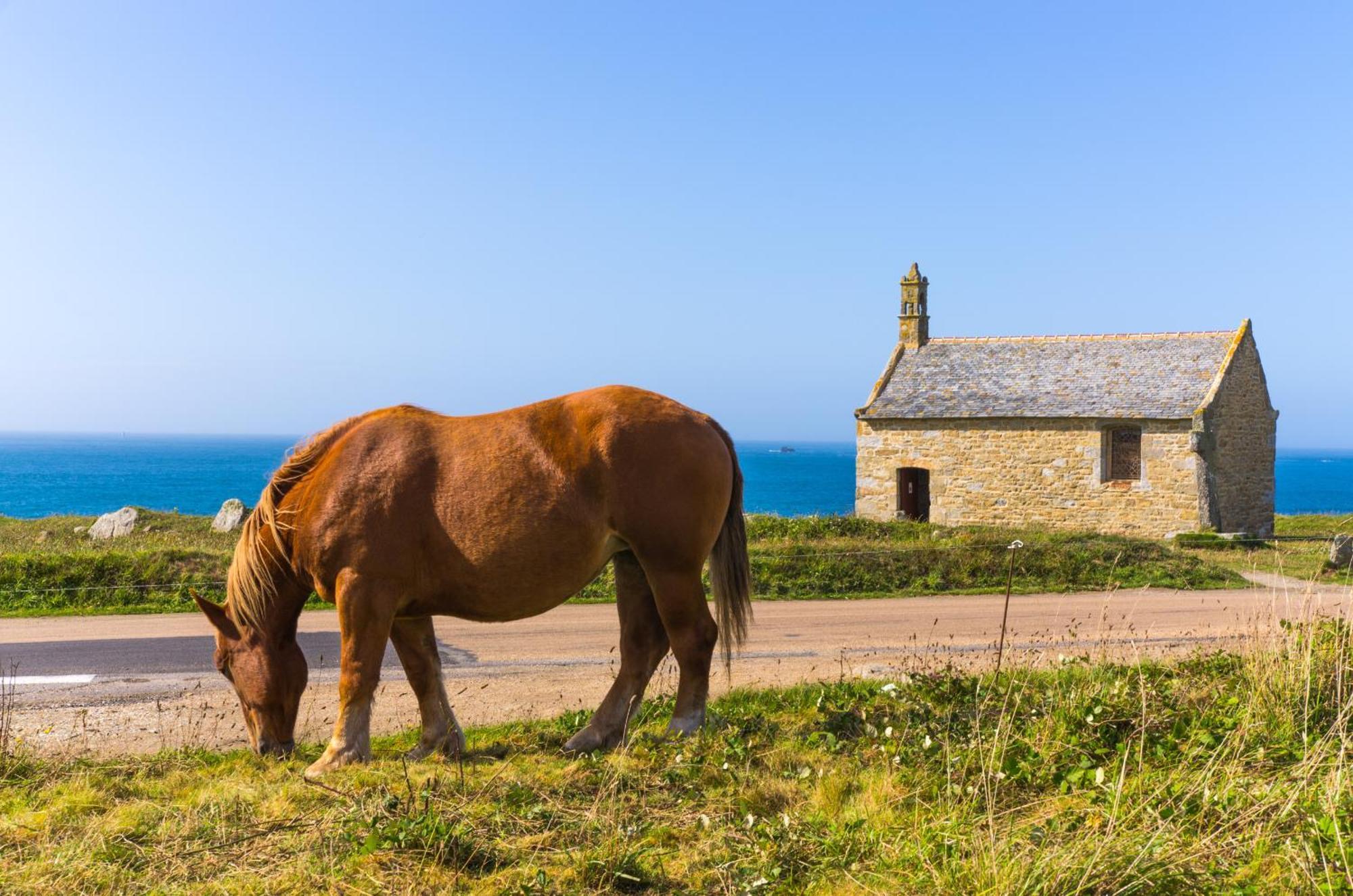 Ker Stivell - Superbe Maison Neuve A 2 Pas De La Mer Landunvez Экстерьер фото